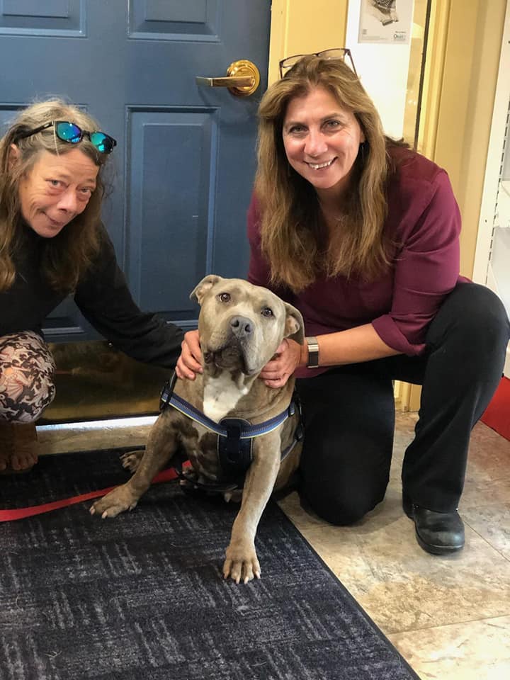 Nassau Veterinary Clinic Nassau, NY